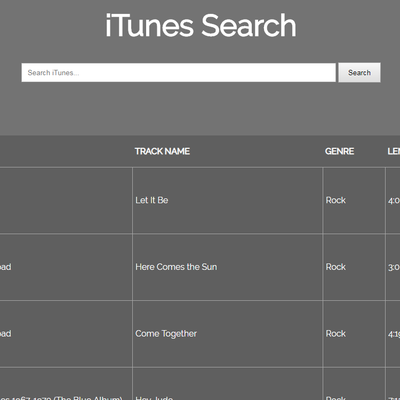 iTunes Search project screenshot